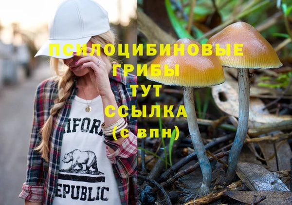 альфа пвп Нягань