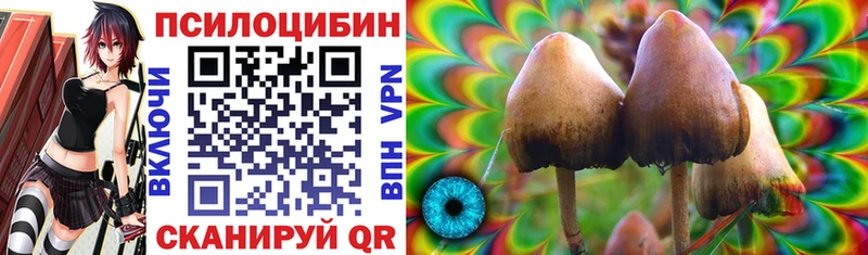 Псилоцибиновые грибы Psilocybe  darknet Telegram  Иваново 