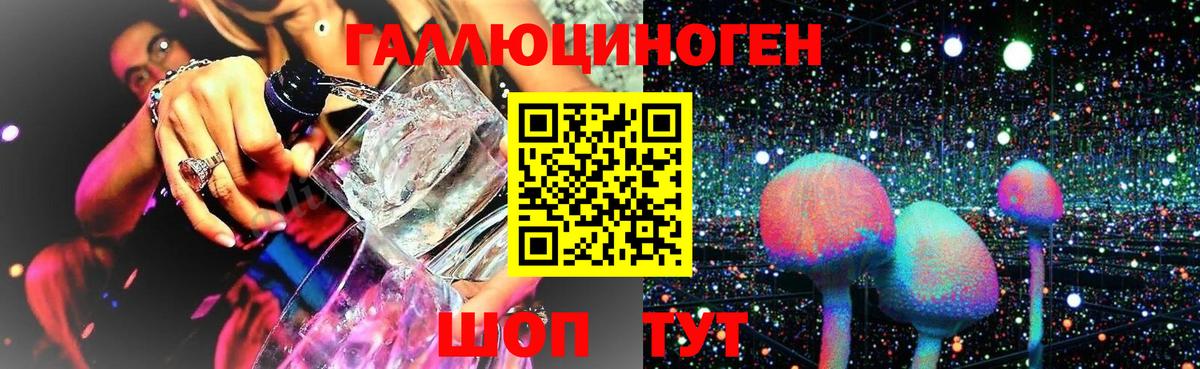 Псилоцибиновые грибы GOLDEN TEACHER Иваново